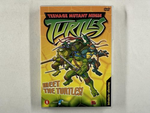 Teenage Mutant Ninja Meet The Turtles DVD